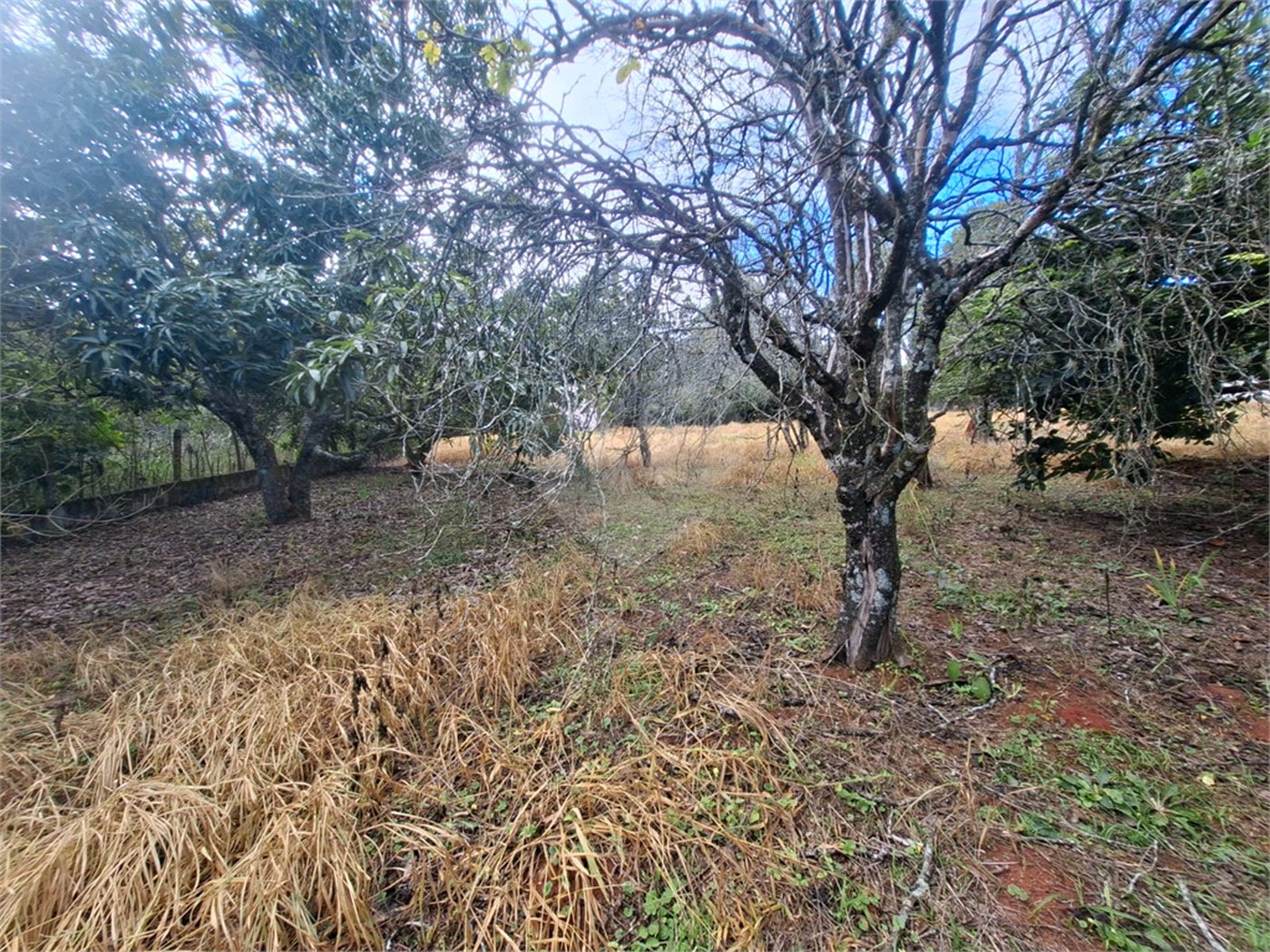 Terreno à venda em Portal da Figueira, Itapetininga, SP