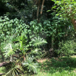 Terreno à venda em Serra da Cantareira, Mairiporã, SP