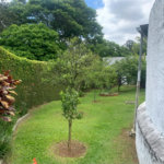 Casa à venda com 6 quartos, sendo 2 suítes,  em Parque São George, Cotia, SP