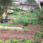 Terreno à venda em Horto, São Paulo, SP