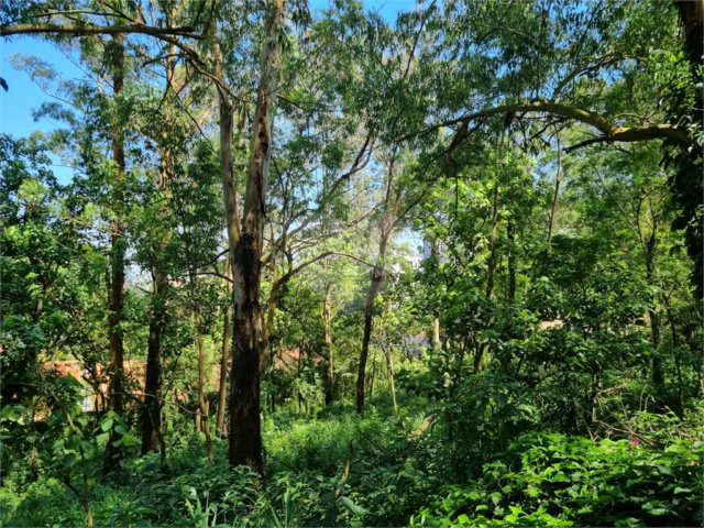 Terreno à venda no condomínio Horto do Ypê, São Paulo - SP