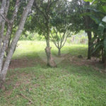 Chácara à venda com 4 quartos, sendo 2 suítes, em Serra da Cantareira, Mairiporã, SP