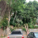 Terreno à venda em Lauzane Paulista, São Paulo, SP