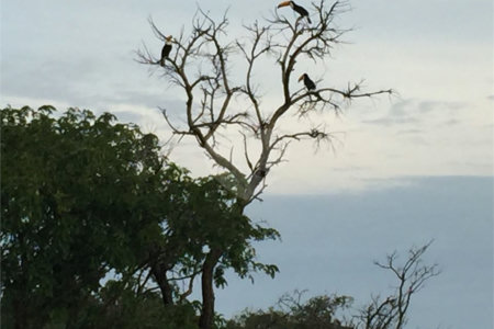 Sítio à venda com 19 quartos, sendo 4 suítes,  em Parque da Grama, Indaiatuba, SP