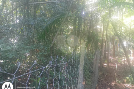 Terreno à venda em Dos Finco, São Bernardo do Campo, SP