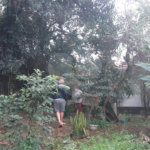 Sobrado à venda com 3 quartos em Vila Guilherme, São Paulo, SP