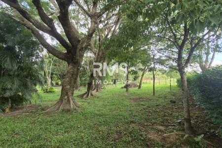 SÍTIO À VENDA EM ELIAS FAUSTO 21.900 m² - ÓTIMA TOPOGRAFIA E EXCELENTE LOCALIZAÇÃO