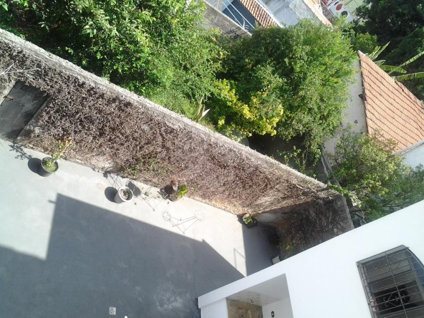 Sobrado à venda com 4 quartos, sendo 2 suítes, em Mandaqui, São Paulo, SP