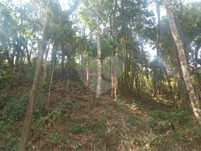 Terreno à venda em Serra da Cantareira, Mairiporã, SP