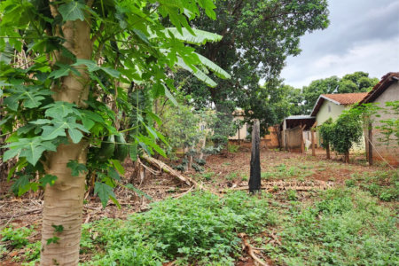 Chácara à venda com 2 quartos em Jardim Califórnia, Araraquara, SP