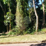 Terreno à venda em Serra da Cantareira, Mairiporã, SP
