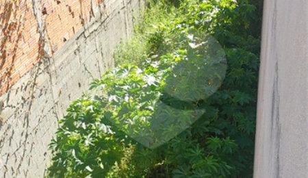 Terreno à venda em Vila Suissa, Mogi das Cruzes, SP