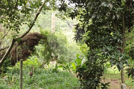 Terreno à venda em Vila Moraes, Mogi das Cruzes, SP