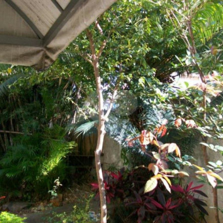 Casa à venda com 3 quartos, sendo 2 suítes, em Santana, São Paulo, SP