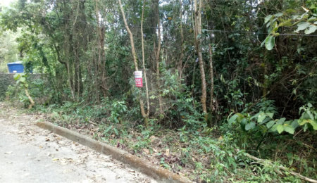 Terreno à venda em Serra da Cantareira, Mairiporã, SP