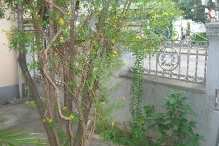 Casa à venda com 5 quartos em Grajaú, Rio de Janeiro, RJ