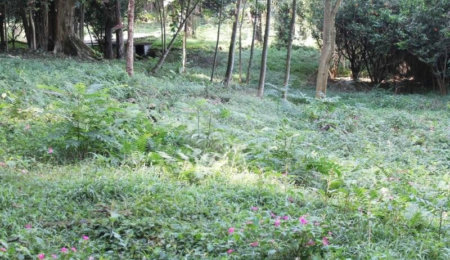 Terreno à venda no condomínio Chácara Flora, São Paulo - SP