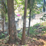 Terreno à venda em Tremembé, São Paulo, SP