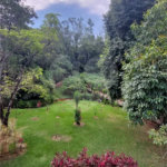 Apartamento para alugar com 2 quartos, sendo 1 suíte, em Aparecidinha, Sorocaba, SP