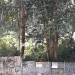 Terreno à venda em Vila Andrade, São Paulo, SP