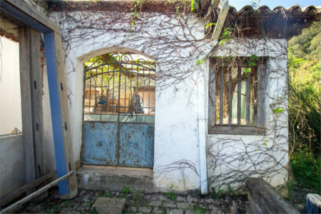 Sítio à venda em Vila Darcy Penteado (mailasqui), São Roque, SP