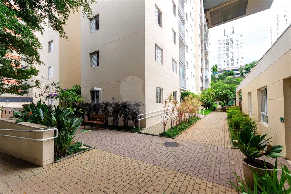 Apartamento à venda com 3 quartos, sendo 1 suíte, em Freguesia do Ó, São Paulo, SP