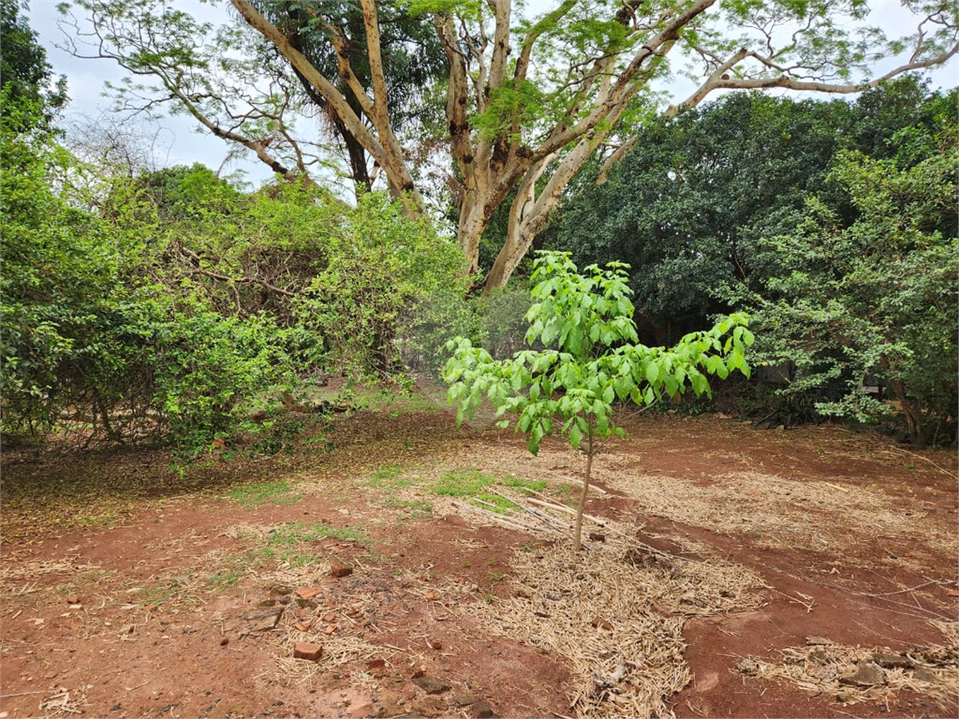 Chácara à venda com 2 quartos em Jardim Califórnia, Araraquara, SP