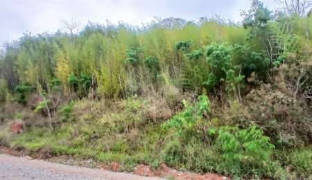 Terreno à venda em Luiz Fagundes, Mairiporã, SP