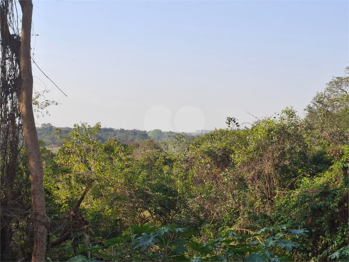 Terreno à venda em Recanto Campestre Internacional de Viracopos Gleba 6, Indaiatuba, SP