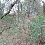 Terreno à venda em Chácaras Alpina, Valinhos, SP