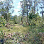 Área de Terra à venda em Monte Alegre, Vinhedo, SP