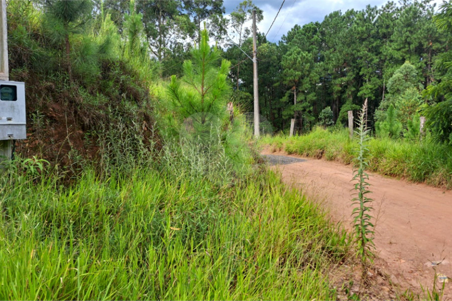 Terreno à venda em Terra Preta (terra Preta), Mairiporã, SP