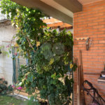 Casa à venda com 5 quartos, sendo 2 suítes,  em Vila Maria Alta, São Paulo, SP