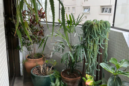 Apartamento à venda com 3 suítes em Granja Julieta, São Paulo, SP