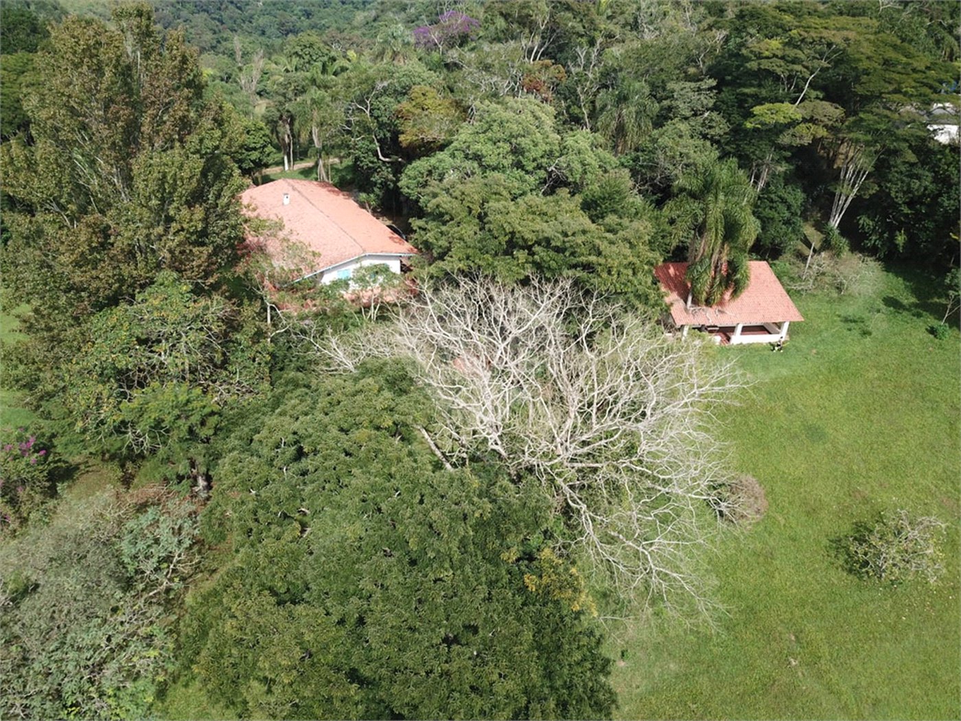 Chácara à venda com 5 quartos em Volta Grande (são João Novo), São Roque, SP