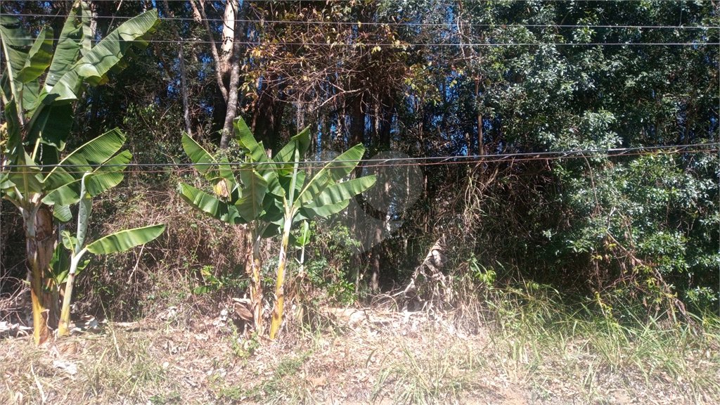 Terreno à venda em Serra da Cantareira, Mairiporã, SP