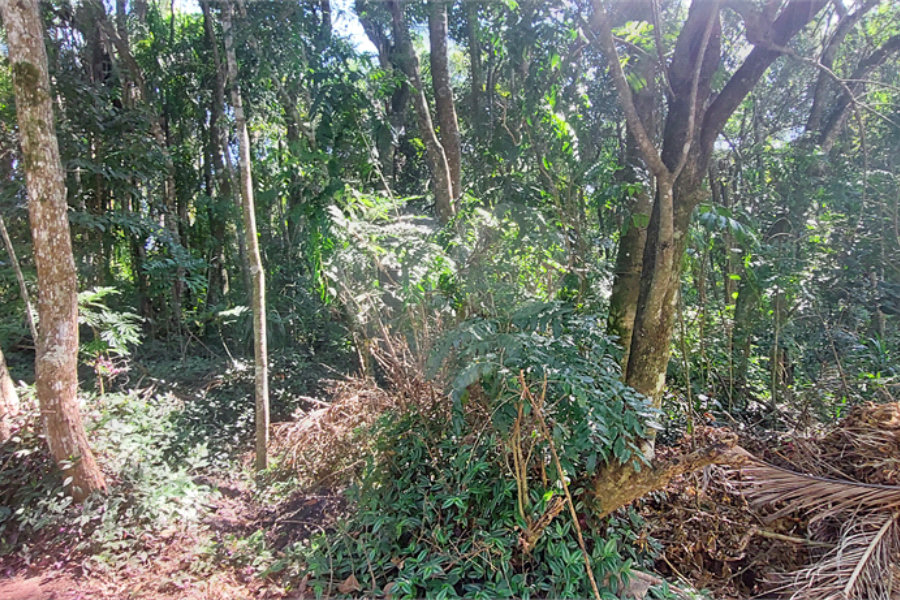 Terreno à venda no condomínio Sausalito, Mairiporã - SP