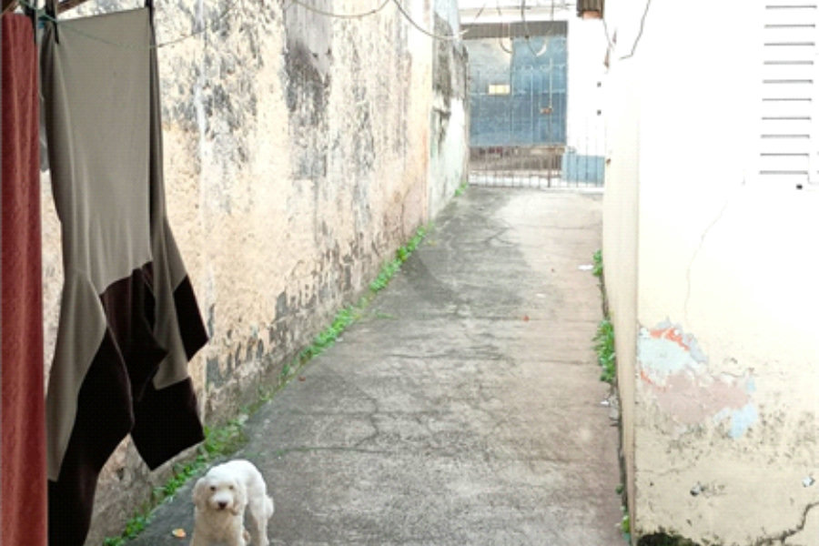 Casa de Vila à venda com 4 quartos em Tucuruvi, São Paulo, SP