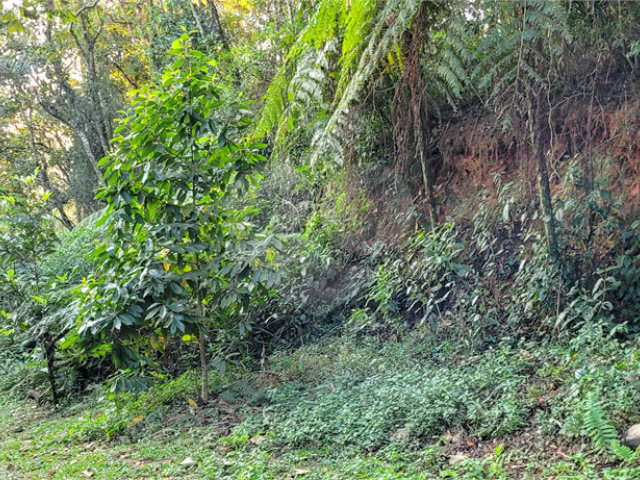 Terreno à venda no condomínio Itatiaia, Mairiporã - SP