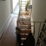 Casa Térrea à venda com 3 quartos, sendo 1 suíte,  em Aclimação, São Paulo, SP
