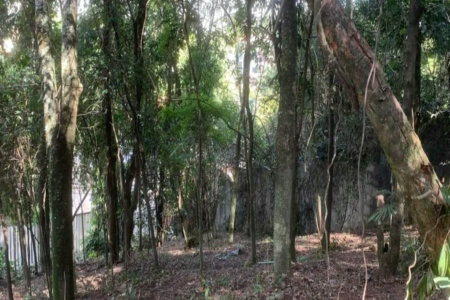 Terreno à venda em Jardim Peri Peri, São Paulo, SP