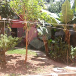 Casa à venda com 3 quartos, sendo 1 suíte, em Pirituba, São Paulo, SP
