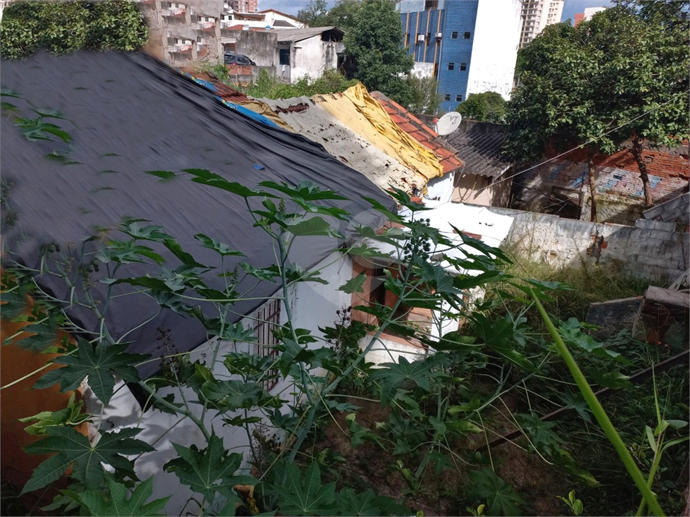 Terreno à venda em Tucuruvi, São Paulo, SP