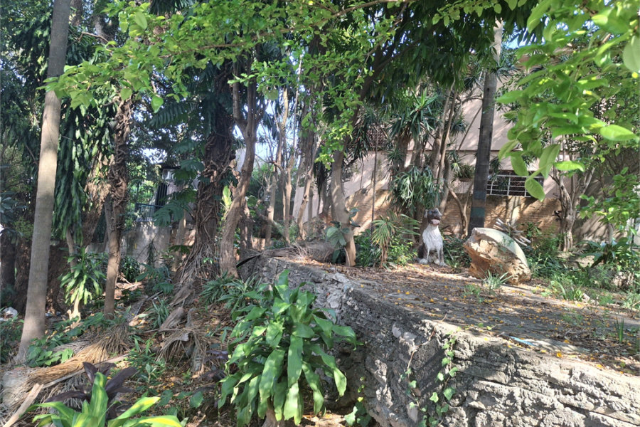 Terreno à venda com 1 quarto em Sumaré, São Paulo, SP