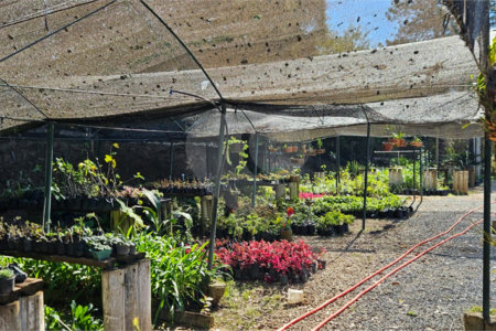 Terreno à venda em Parque Recreio Mirante, São Roque, SP