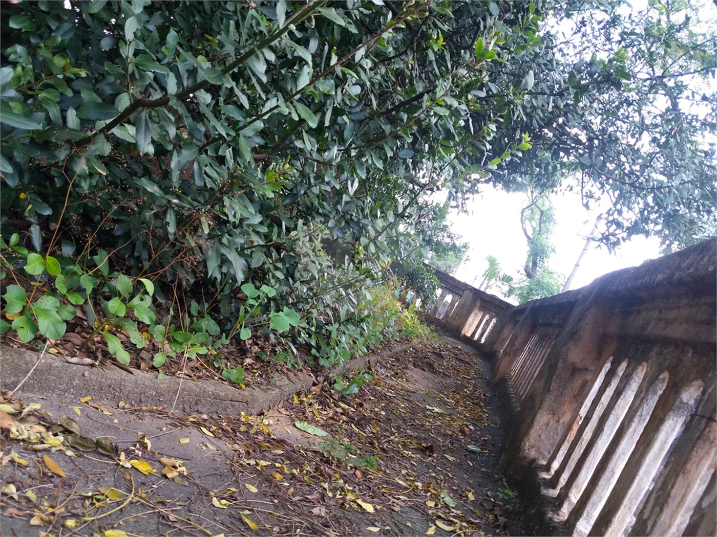 Terreno à venda com 3 quartos em Vila Guilherme, São Paulo, SP