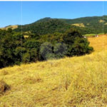 Chácara à venda no Centro, Monte Sião, MG