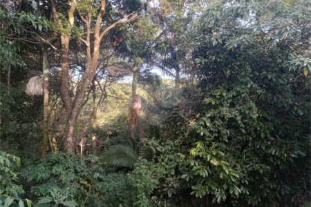Chácara à venda com 7 quartos, sendo 3 suítes, em Saboó, São Roque, SP