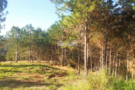 Condomínio de Chácaras Fazenda Elisa – Atibaia