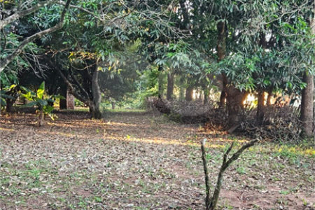 Terreno à venda em Jardim dos Estados, Ponta Porã, MS